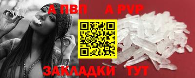 индика Донской